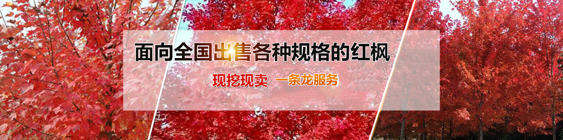 濟(jì)寧富康液壓機(jī)械有限公司