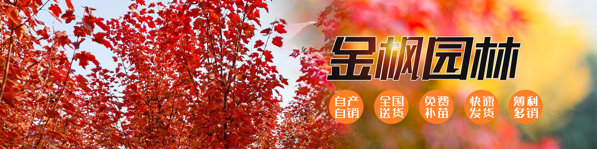 濟(jì)寧富康液壓機(jī)械有限公司
